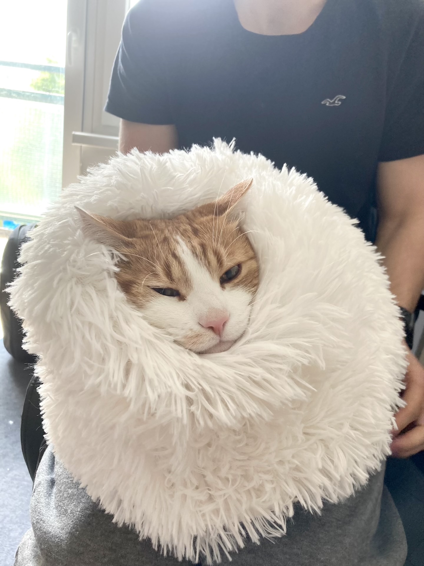 Horečka - jak postupovat?